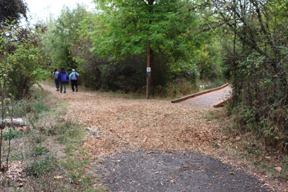 Connecter trail to Kingfisher Marsh Loop, left – Boardwalk with edge protection to River Trail, right – directional signage